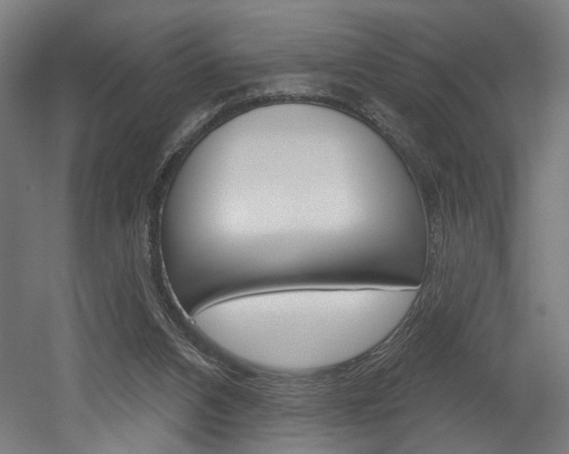 X0000052590112200507010950