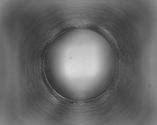 X0000052590113200507010950