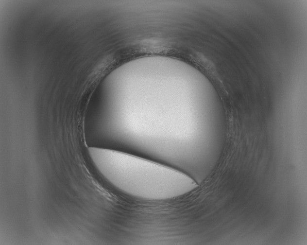 X0000052590114200507010950