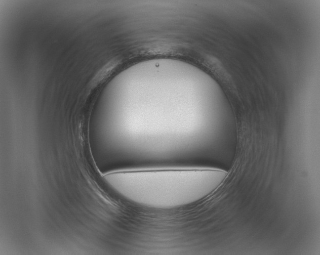 X0000052590116200507010950