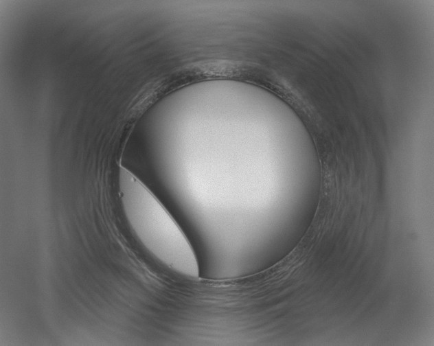 X0000052590117200507010950