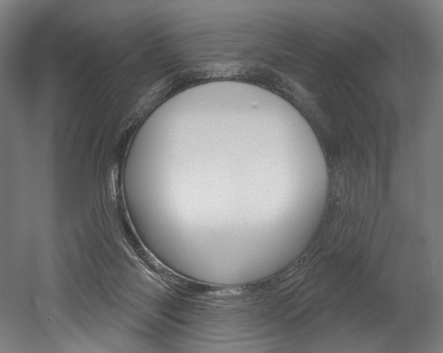 X0000052590118200507010950