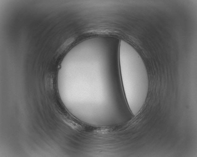 X0000052590120200507010949