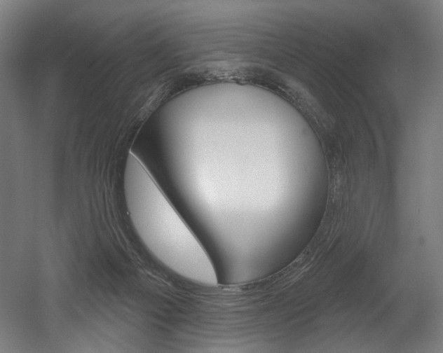 X0000052590121200507010949