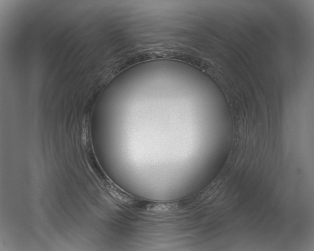 X0000052590129200507010949