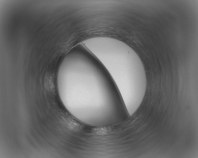 X0000052590131200507010949