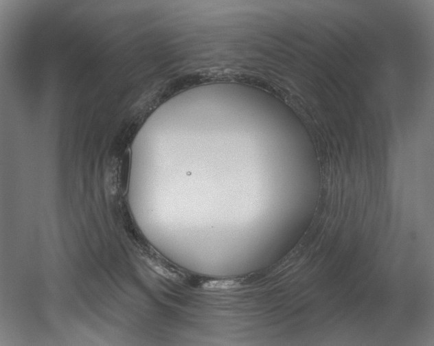 X0000052590133200507010949