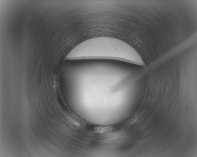 X0000052590135200507010949