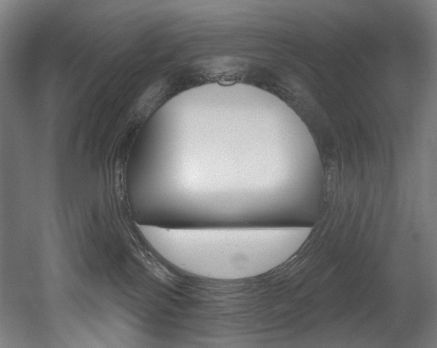 X0000052590138200507010949