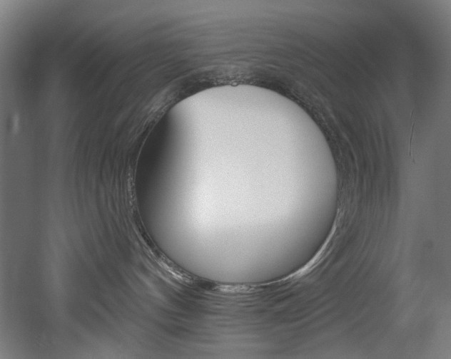 X0000052590144200507010949