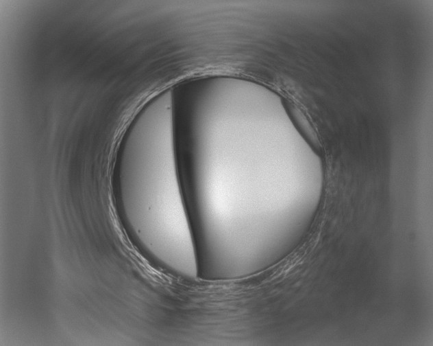 X0000052590145200507010948