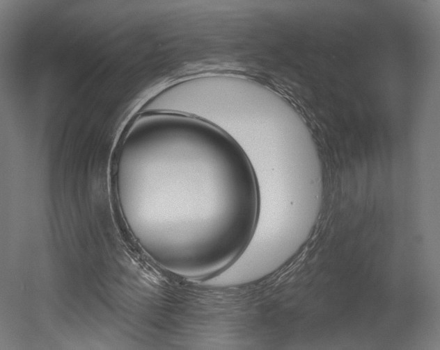 X0000052590148200507010948