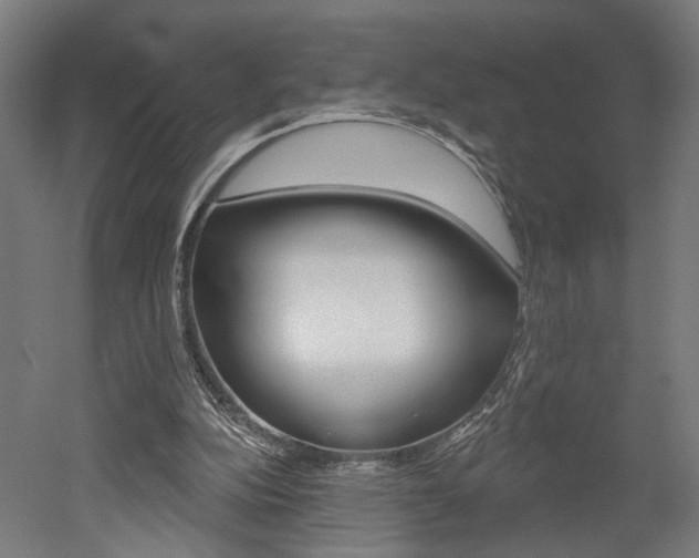X0000052590152200507010948