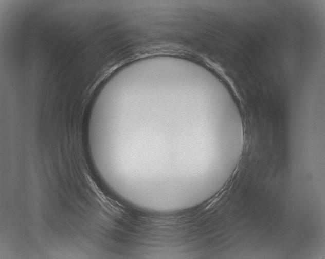 X0000052590154200507010948