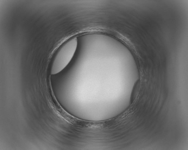 X0000052590155200507010948