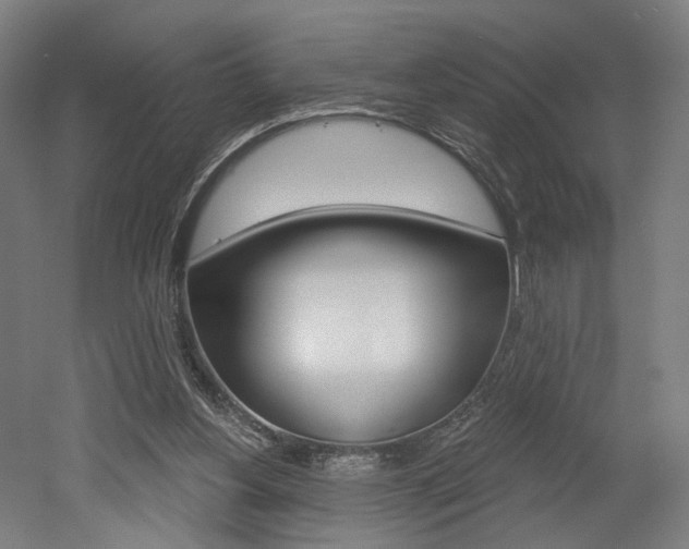 X0000052590156200507010948