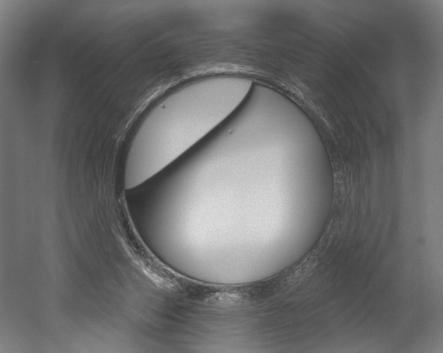 X0000052590159200507010948