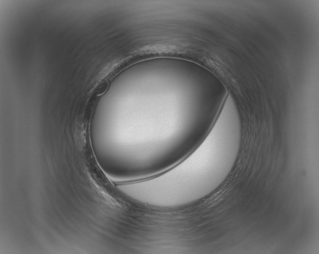 X0000052590160200507010949