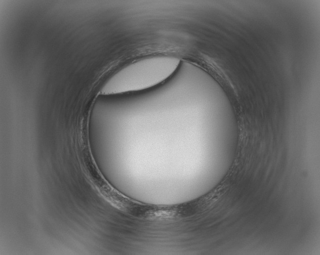 X0000052590163200507010949