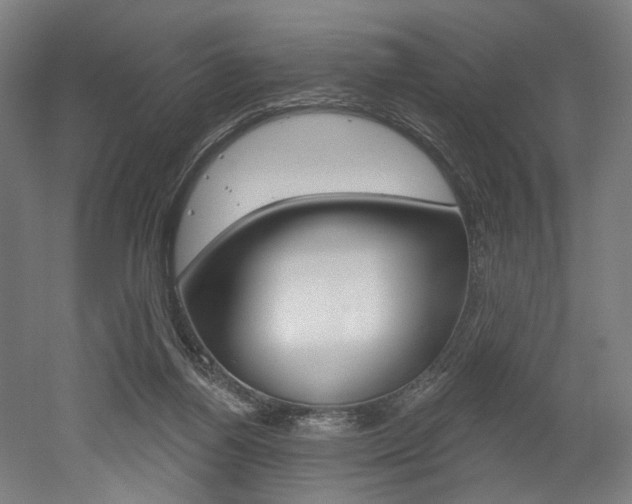 X0000052590164200507010949