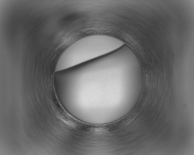 X0000052590165200507010949
