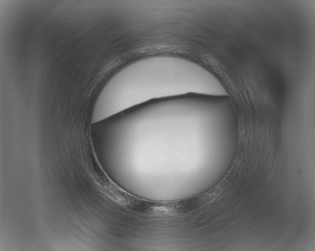 X0000052590167200507010949