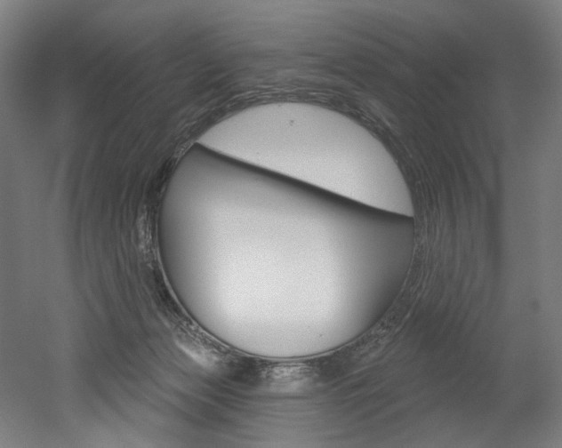 X0000052590173200507010949