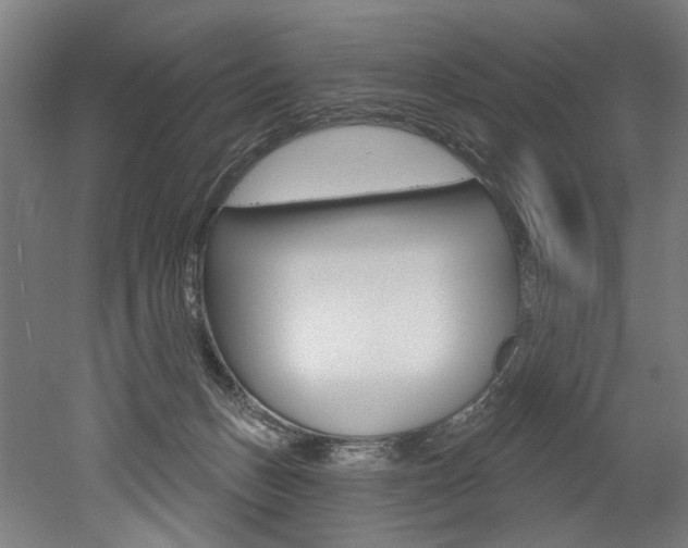 X0000052590175200507010949