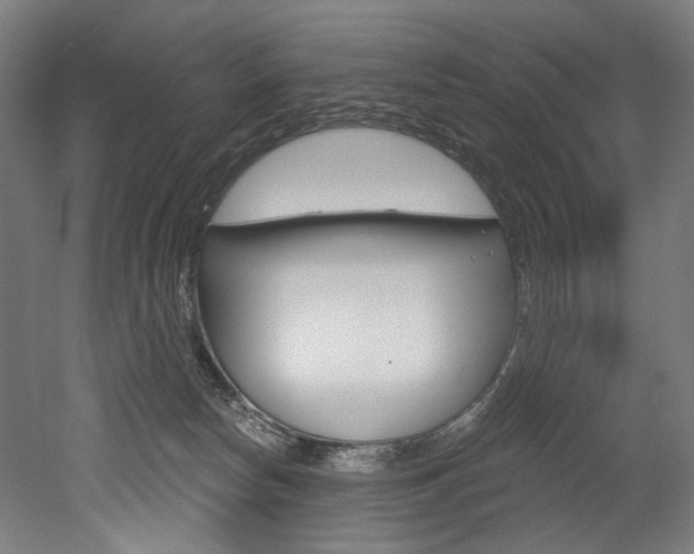 X0000052590178200507010949