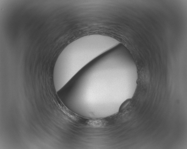 X0000052590181200507010949