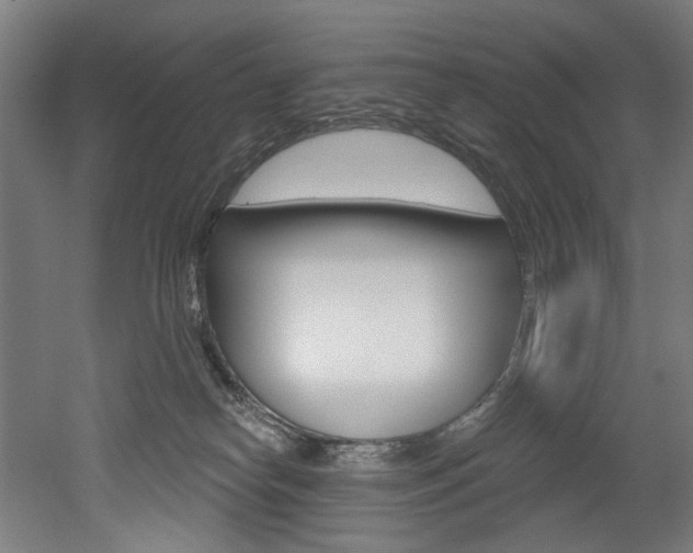 X0000052590182200507010949