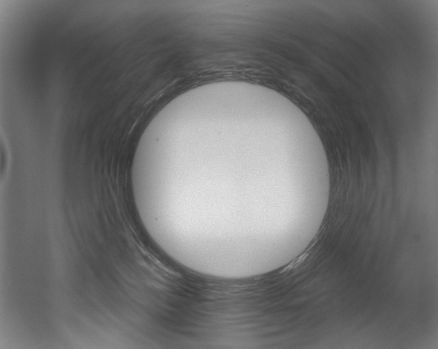 X0000052590184200507010949