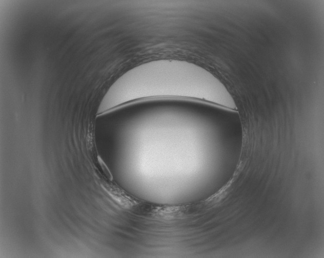 X0000052590186200507010949