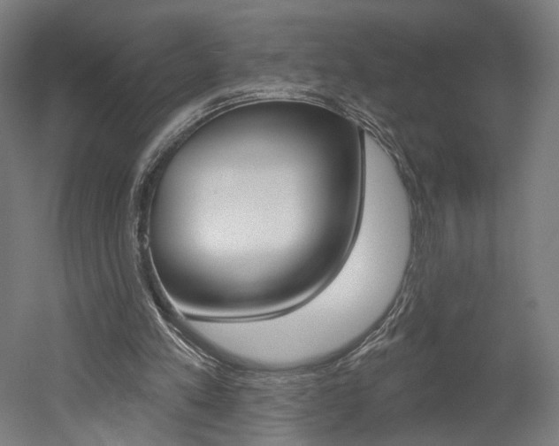 X0000052590197200507010948