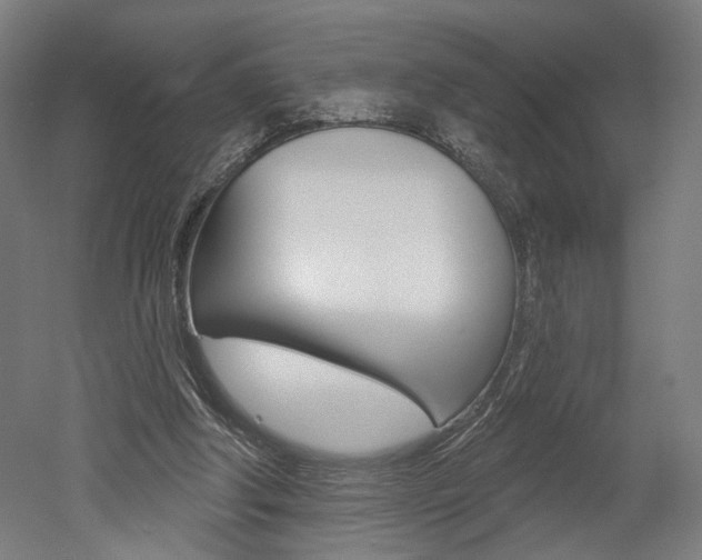 X0000052590202200507010948