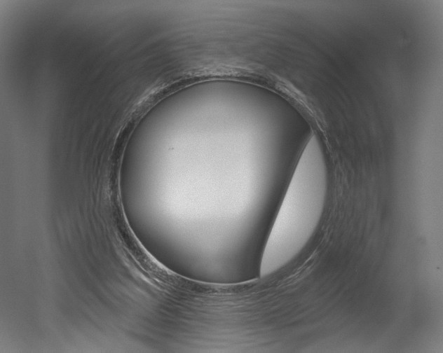 X0000052590203200507010948