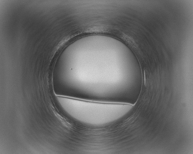 X0000052590204200507010948