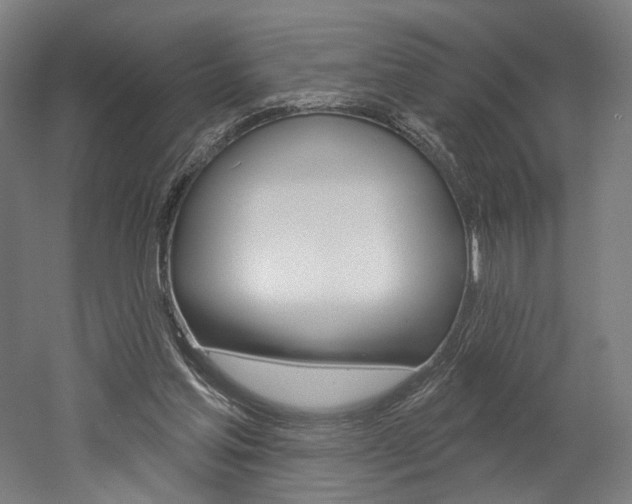 X0000052590205200507010948
