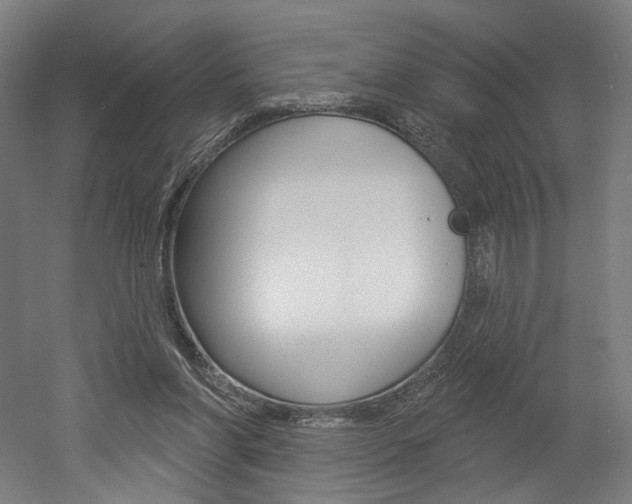 X0000052590206200507010948