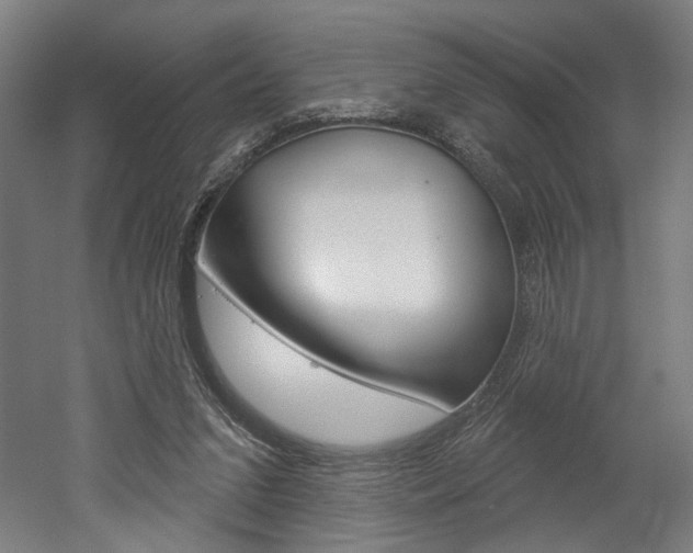 X0000052590207200507010948
