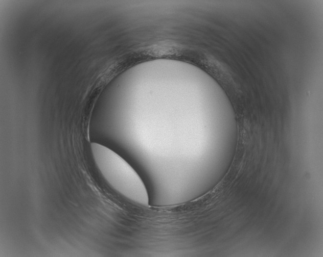 X0000052590210200507010948