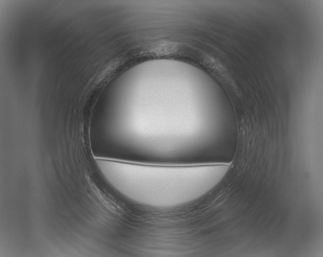 X0000052590212200507010948