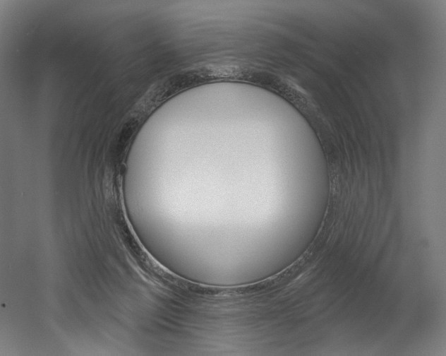 X0000052590213200507010948