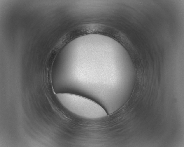 X0000052590214200507010948