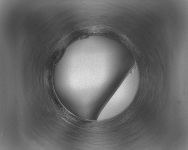 X0000052590217200507010948