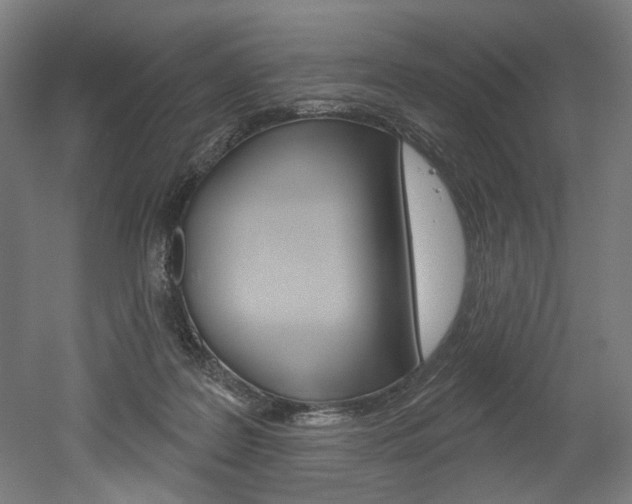 X0000052590219200507010948