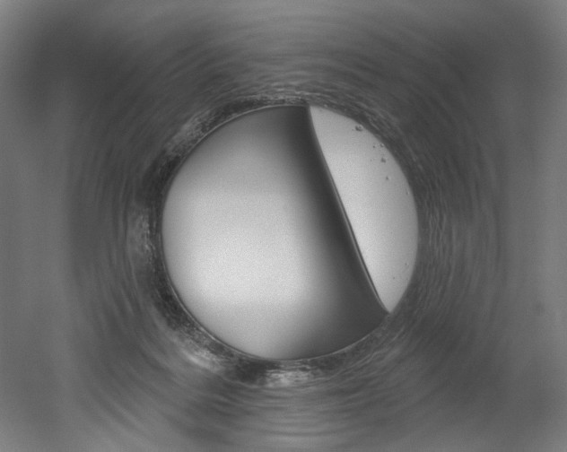 X0000052590220200507010948
