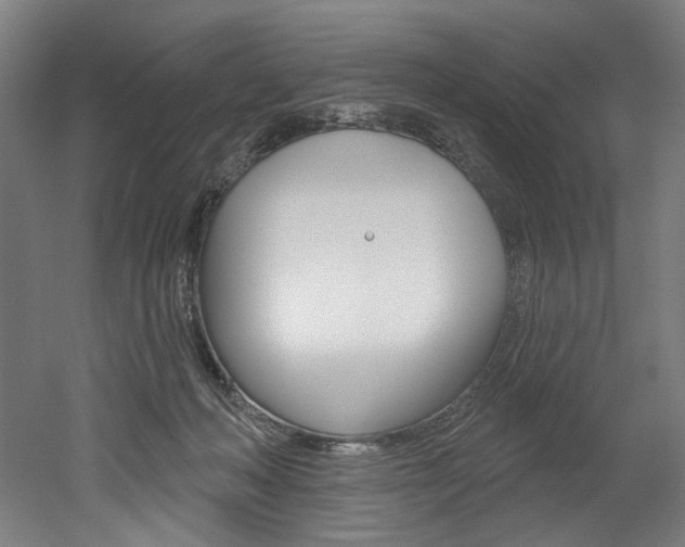 X0000052590222200507010948