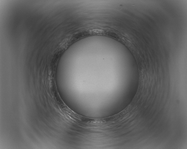 X0000052590223200507010948