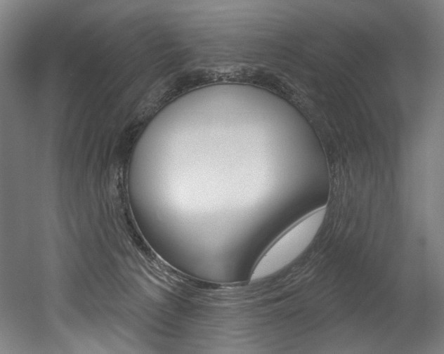 X0000052590225200507010948